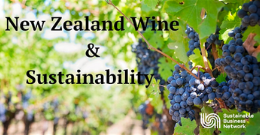 New Zealand Wine & Sustainability