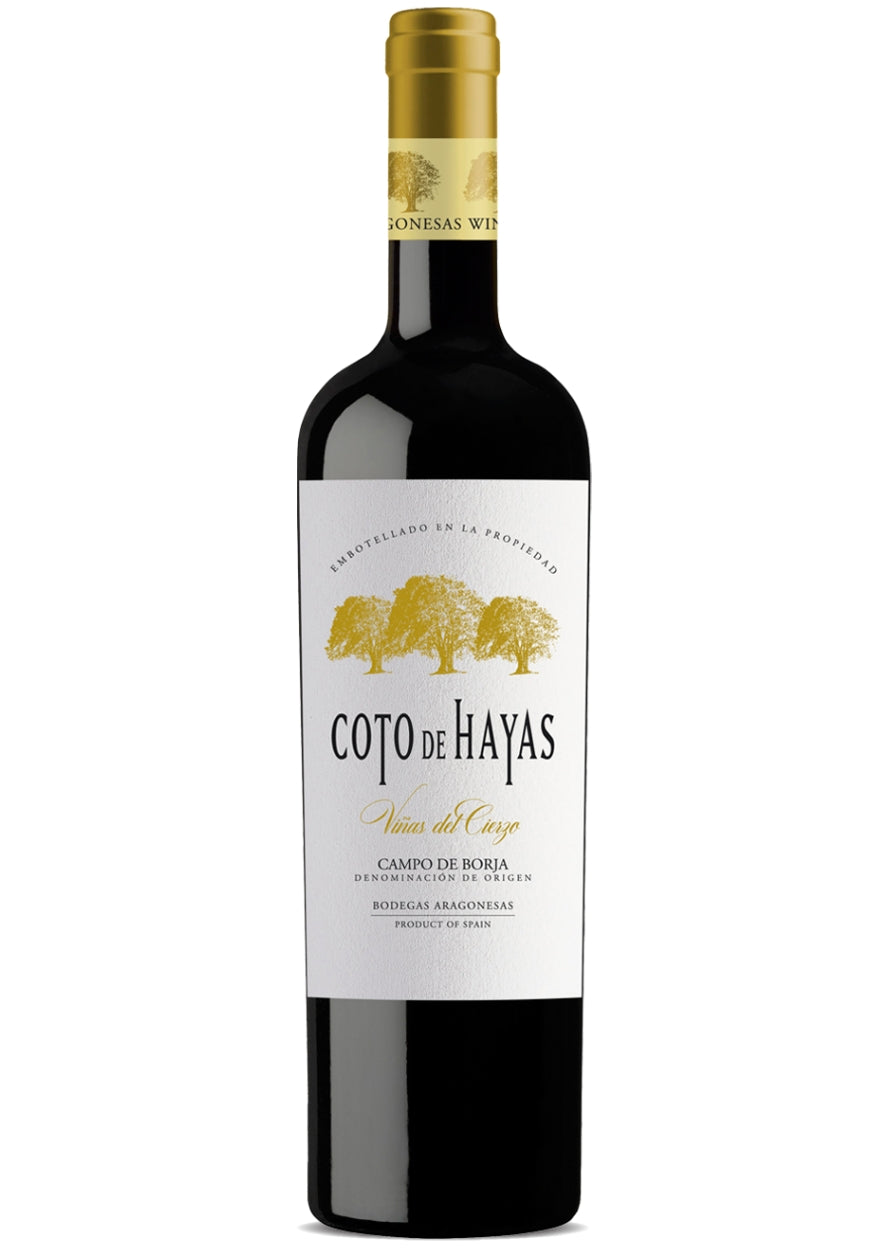 Aragonesas Coto de Hayas Vinas del Cierzo Reserva 2015