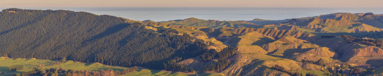 Hawkes Bay