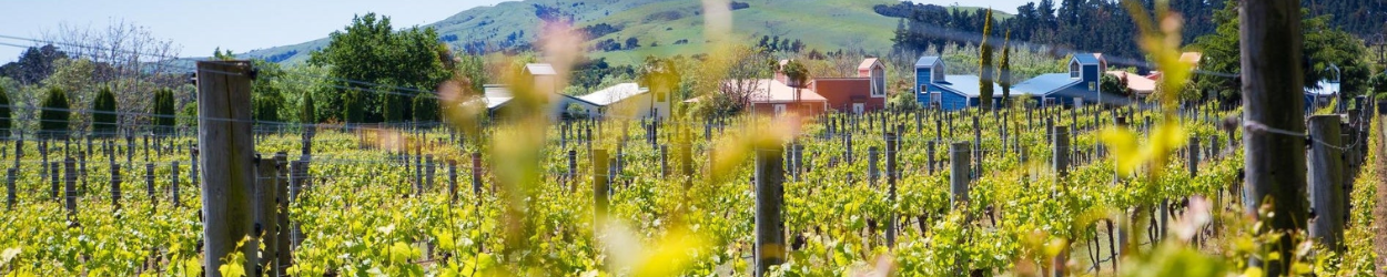 Wairarapa/Martinborough