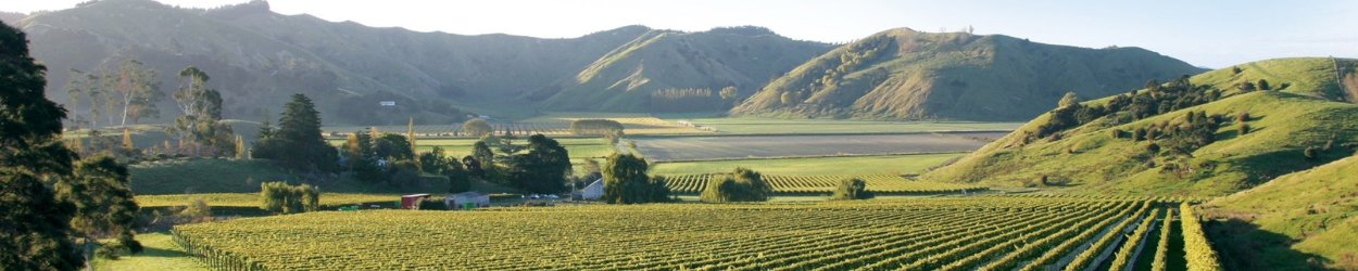 Gisborne