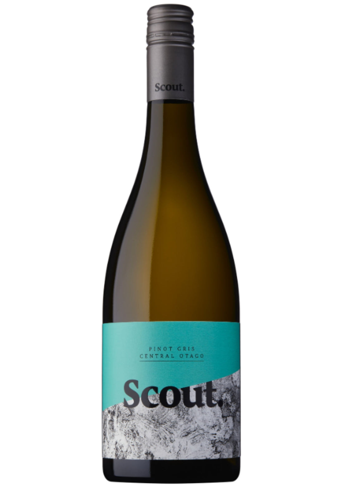 Scout Wines Pinot Gris 2024